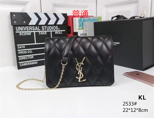 YSL small bag-0089