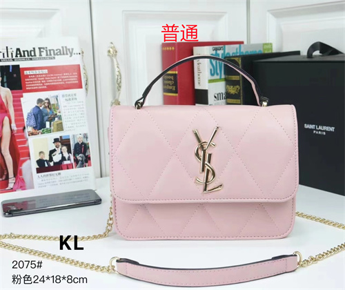 YSL small bag-0094