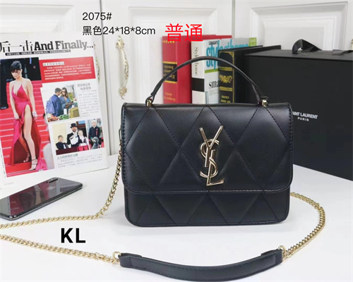 YSL small bag-0096