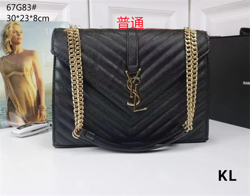 YSL bag-0021