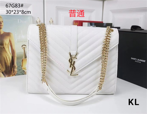 YSL bag-0022