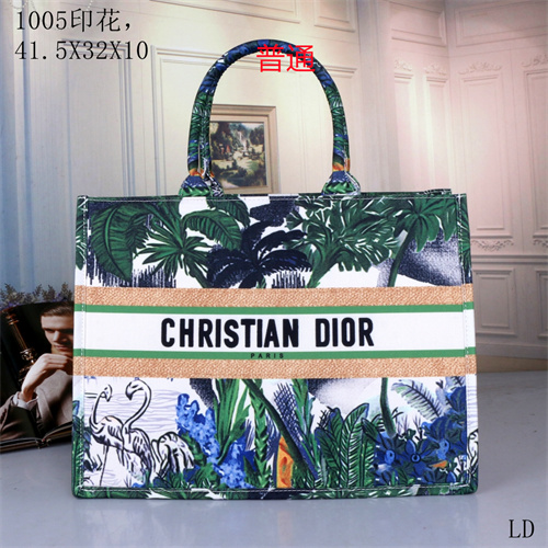 Dior bag-0060