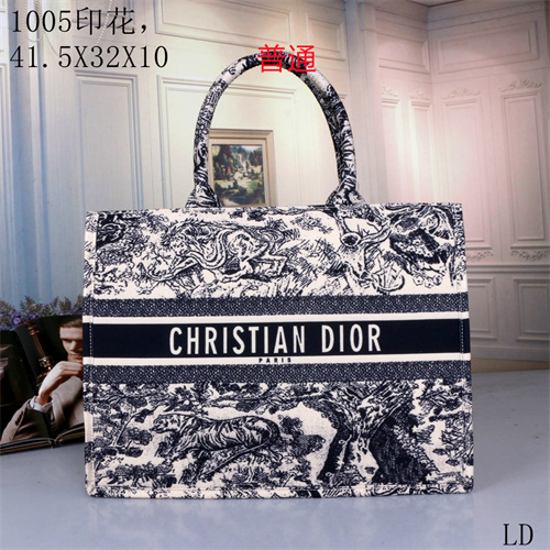 Dior bag-0064