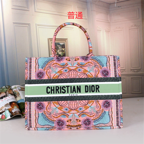 Dior bag-0071
