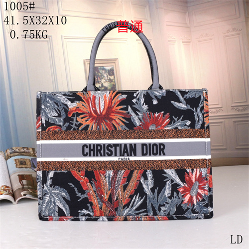 Dior bag-0073
