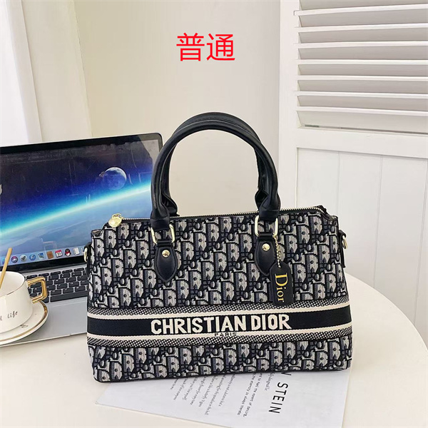 Dior bag-0090