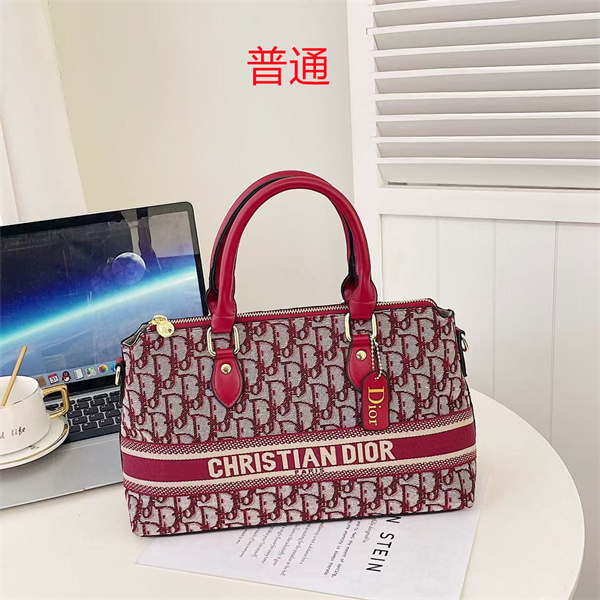 Dior bag-0091