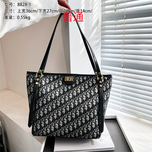 Dior bag-0093