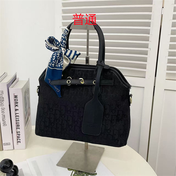 Dior bag-0104