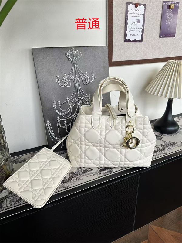Dior bag-0107