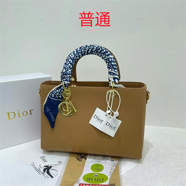 Dior bag-0114