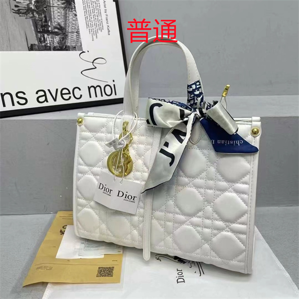 Dior bag-0121