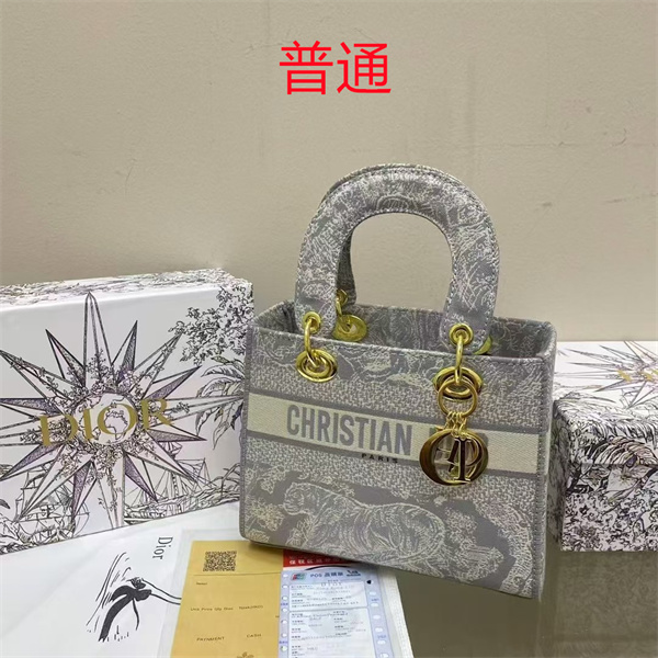 Dior bag-0130