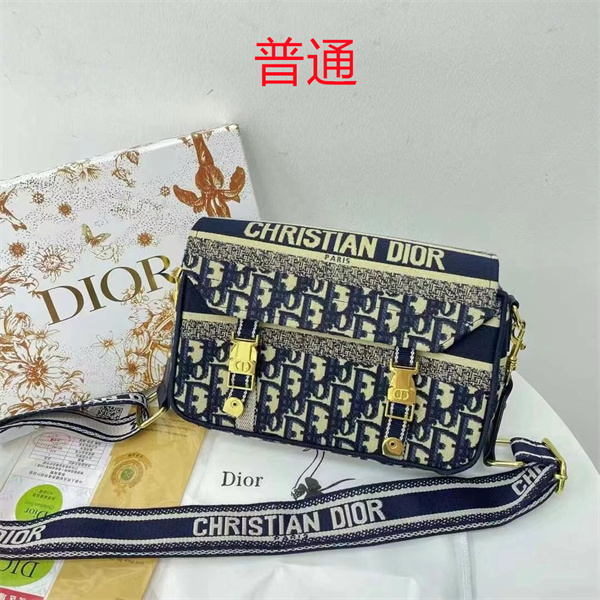 Dior bag-0133
