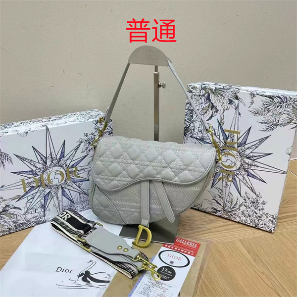 Dior bag-0147