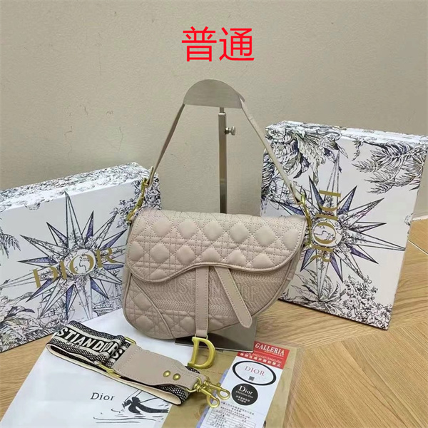 Dior bag-0148