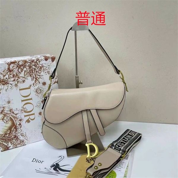 Dior bag-0151