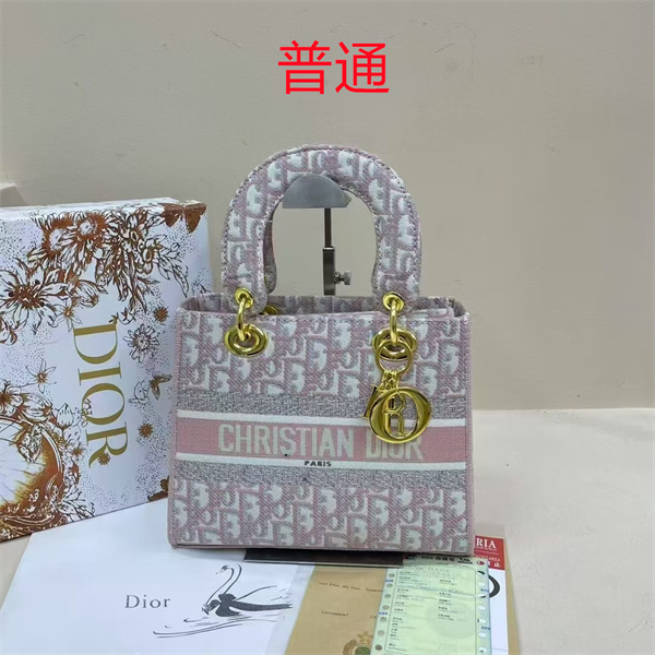 Dior bag-0155