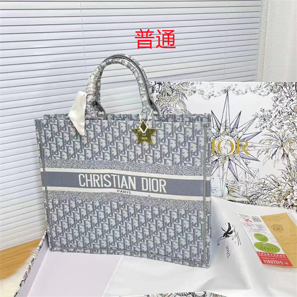 Dior bag-0176