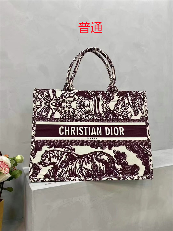 Dior bag-0184