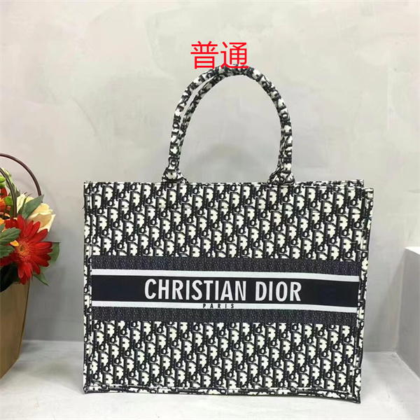 Dior bag-0190