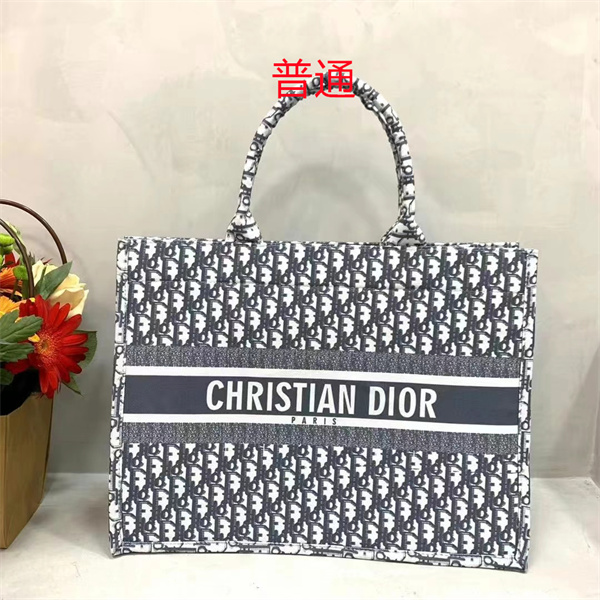 Dior bag-0191