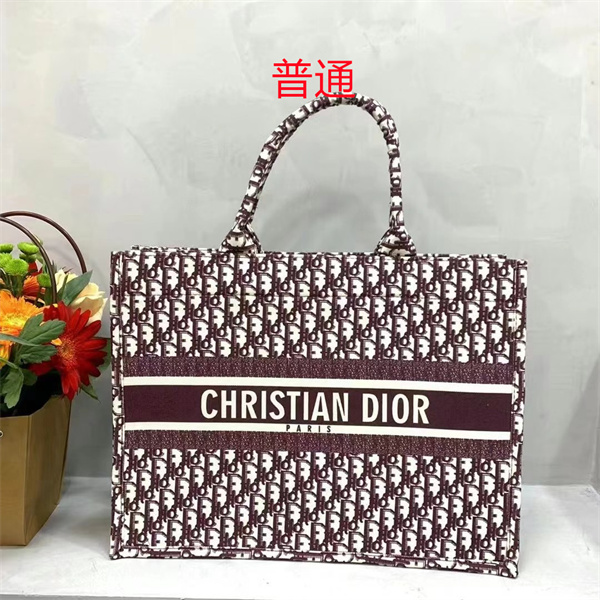 Dior bag-0193