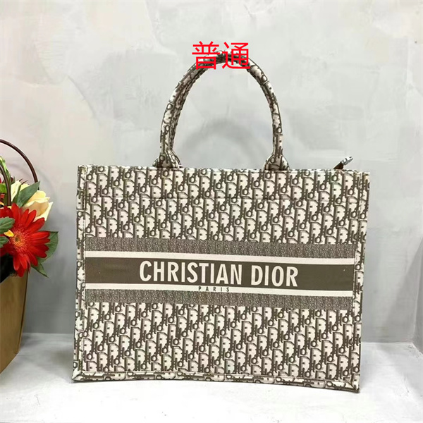 Dior bag-0195