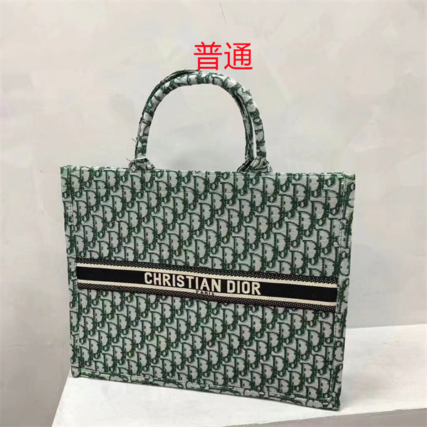 Dior bag-0199