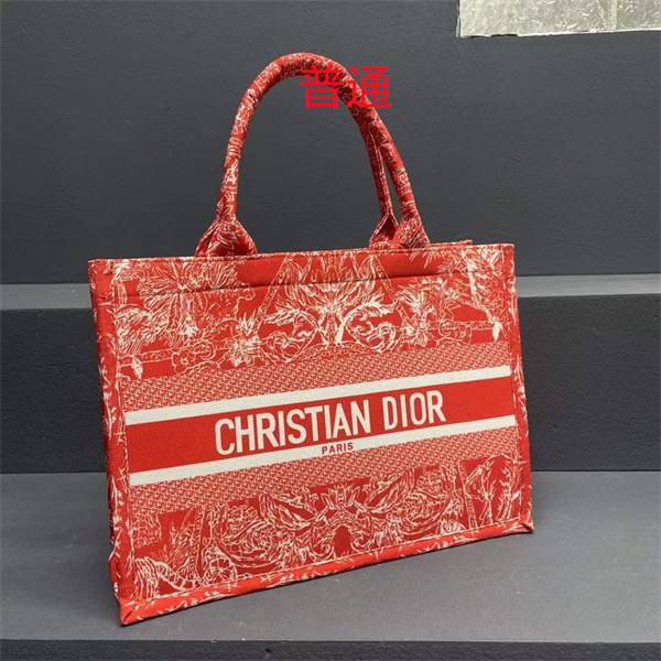 Dior bag-0203
