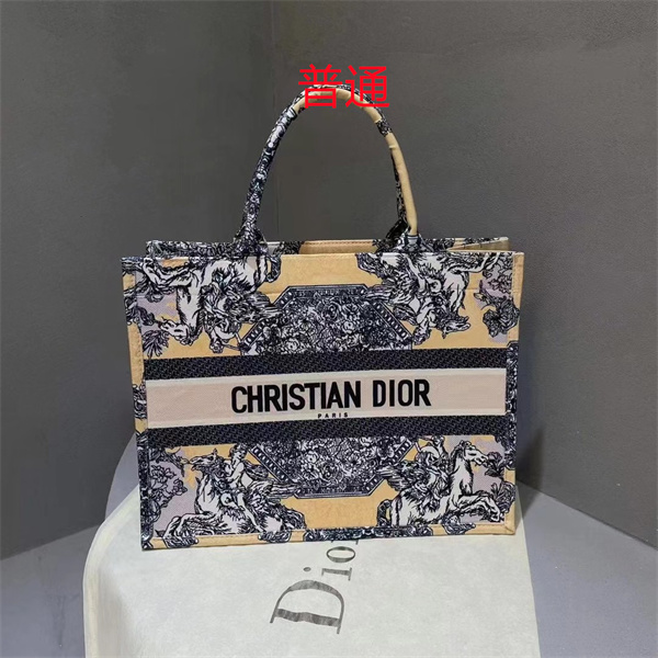 Dior bag-0211