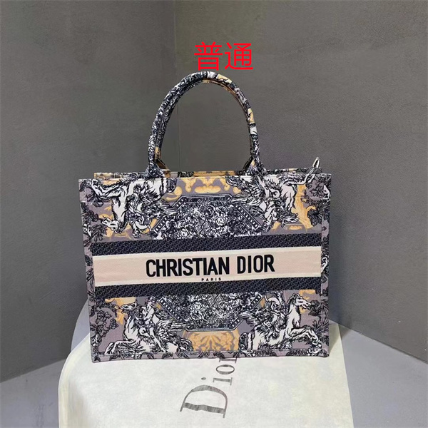 Dior bag-0213