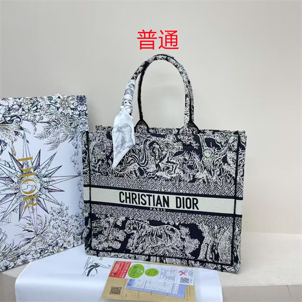 Dior bag-0221