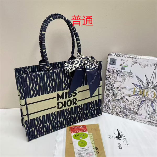Dior bag-0231