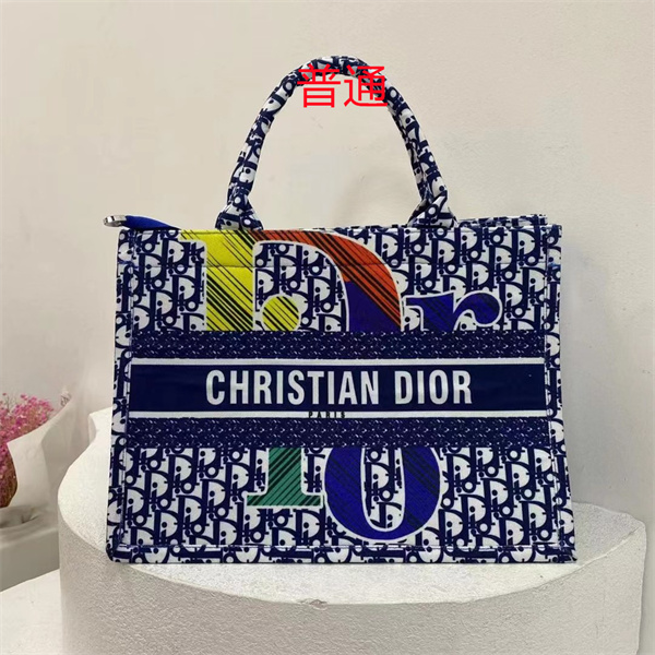 Dior bag-0239