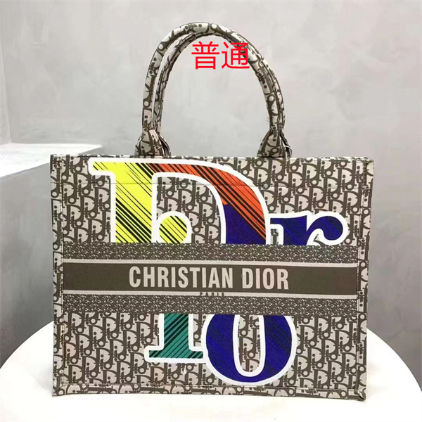 Dior bag-0248