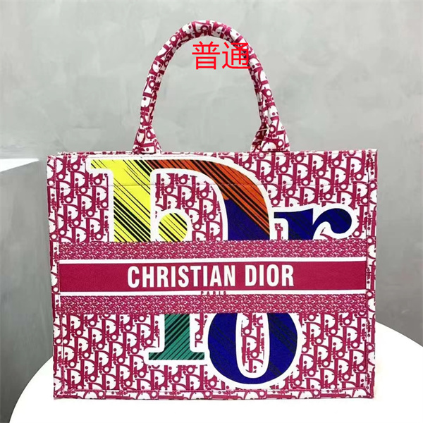 Dior bag-0251