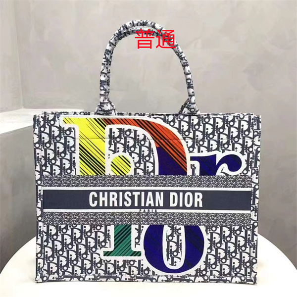 Dior bag-0252