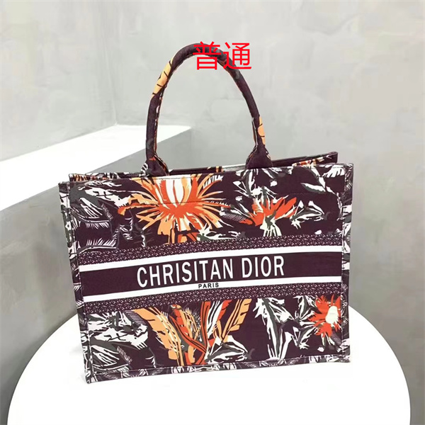 Dior bag-0254