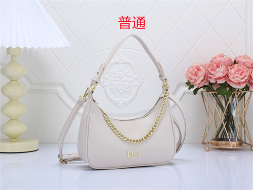 Dior small bag-0070