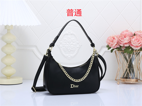 Dior small bag-0073