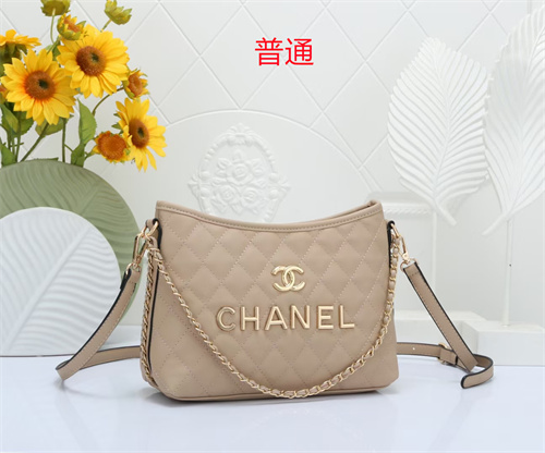 Chanel small bag-0041