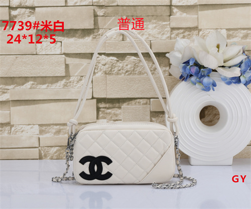 Chanel small bag-0051