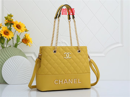 Chanel bag-0163