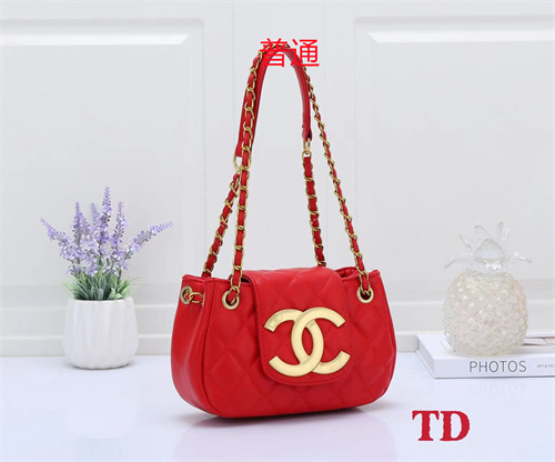 Chanel small bag-0056