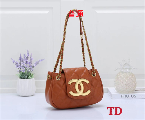 Chanel small bag-0061