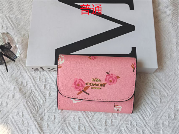 Coach Wallet-0117