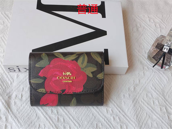 Coach Wallet-0118