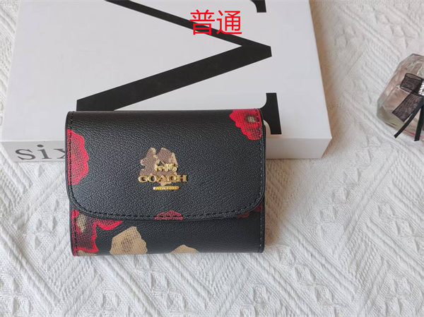 Coach Wallet-0119
