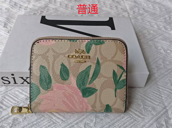 Coach Wallet-0131